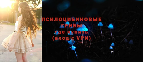 бошки Пестово