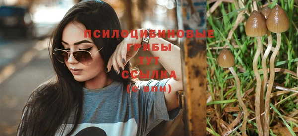 индика Балабаново