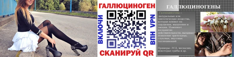 Псилоцибиновые грибы Psilocybe купить наркоту Окуловка